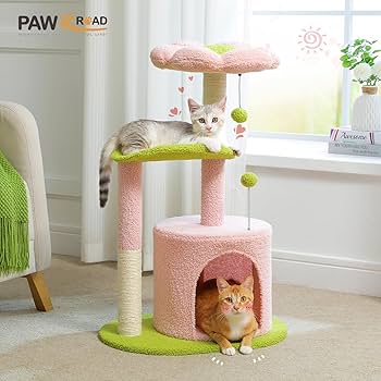 miau beauty life♪ Amazon.com : MIAO PAW Cute Cat Tree Cat Tower for Indoor
